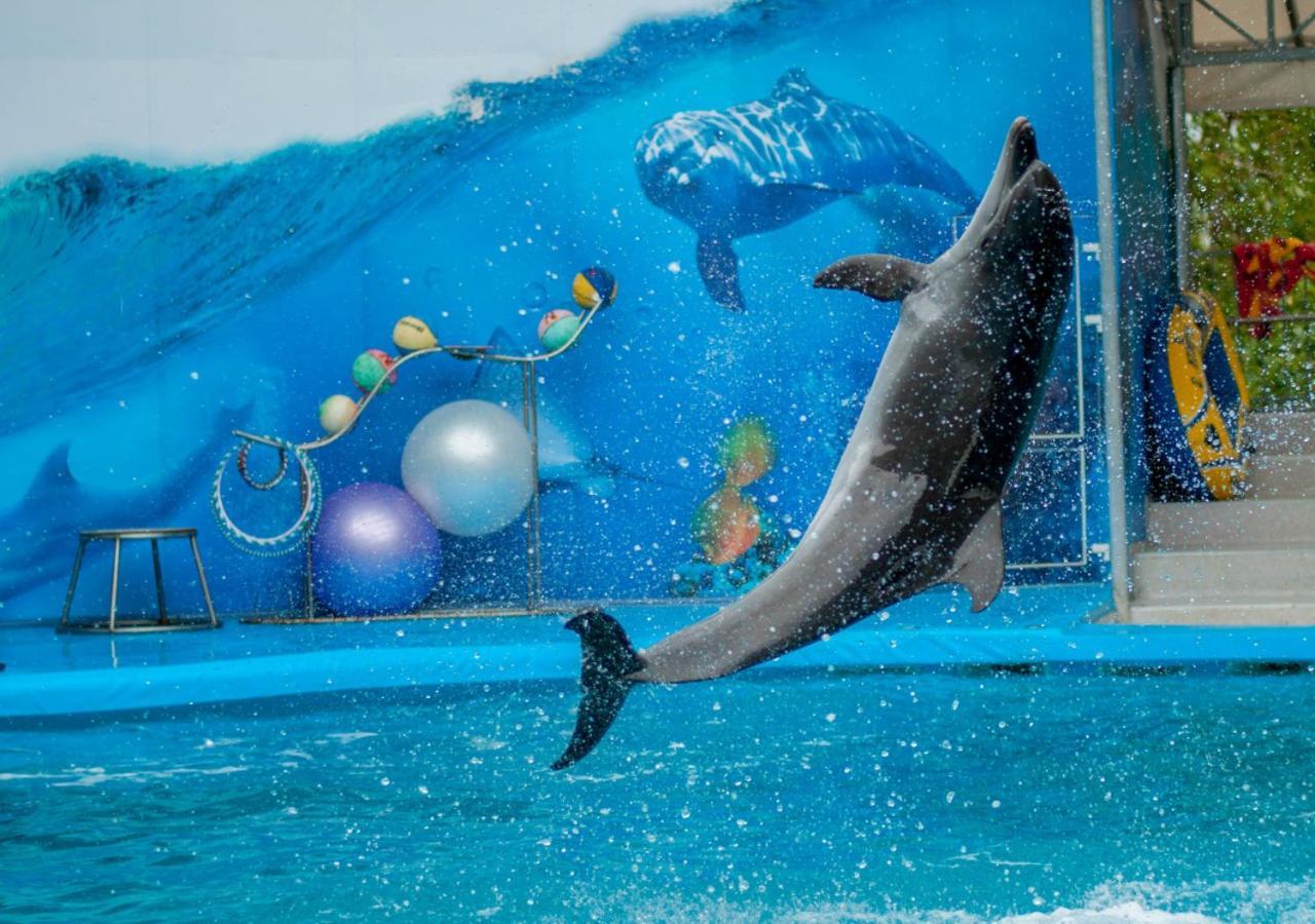 Moevenpick Hotel Apartments Al Mamzar Dubai Esterno foto Dolphin show at the park